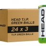 Kinder-Tennisbälle HEAD T.I.P. GREEN - Karton (72 St.)