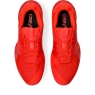 Tennisschuhe Asics SOLUTION SPEED FF 3 Clay 1041A437-600