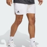 Tennis Kurze Hose Adidas Club Tennis Graphic Short 7 JM1200