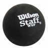 Squashball Wilson Staff Premium Balls