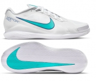 Herren Tennisschuhe Nike Zoom Vapor Pro Cly CZ0219-141