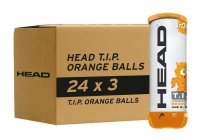 Kinder-Tennisbälle HEAD T.I.P. ORANGE - Karton