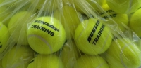 Tennisbälle  DUNLOP TRAINING Balls 60er